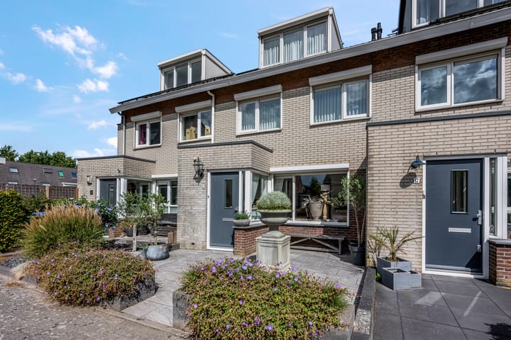 Foto 4 van Koraalzwam 15