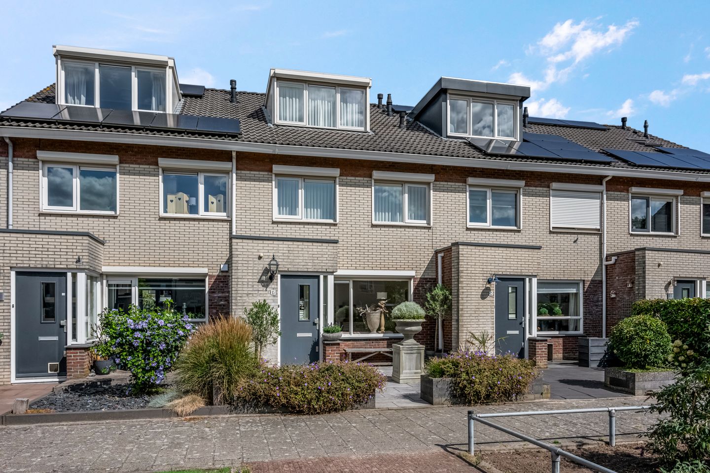 Foto 5 van Koraalzwam 15