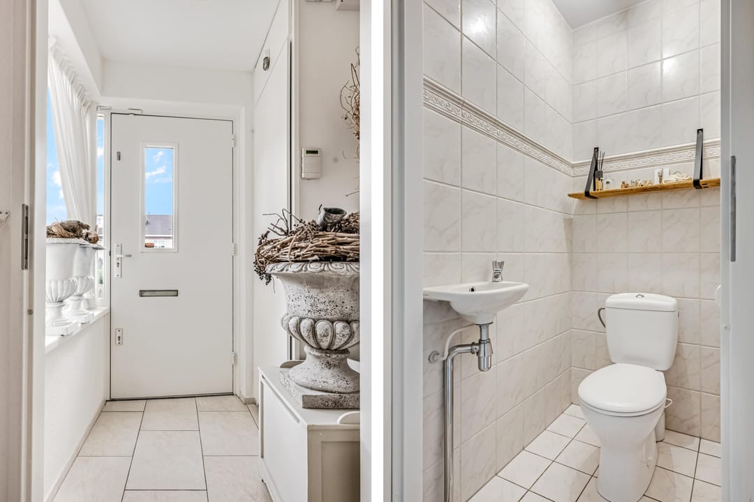 Foto 8 van Koraalzwam 15