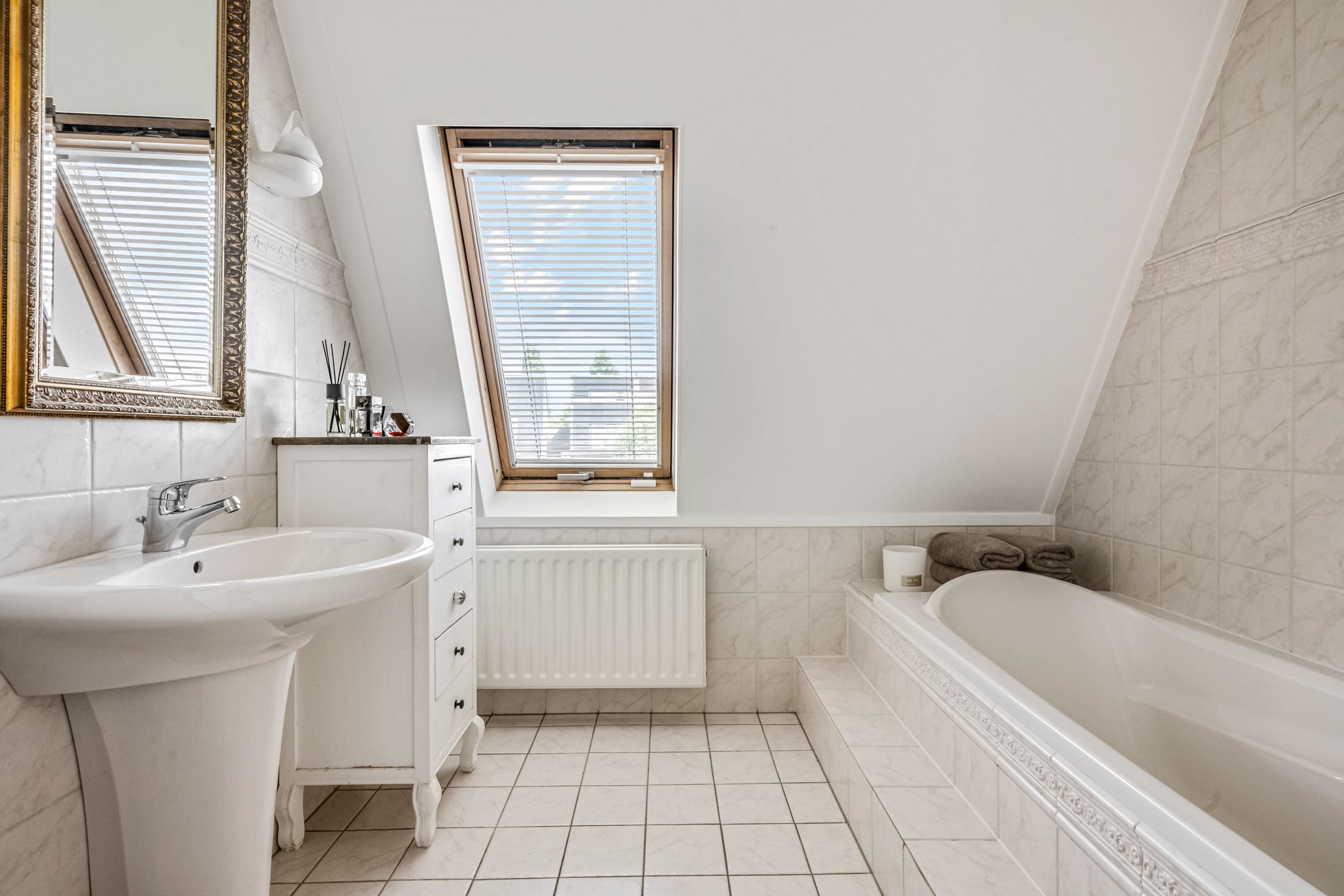 Foto 15 van Koraalzwam 15