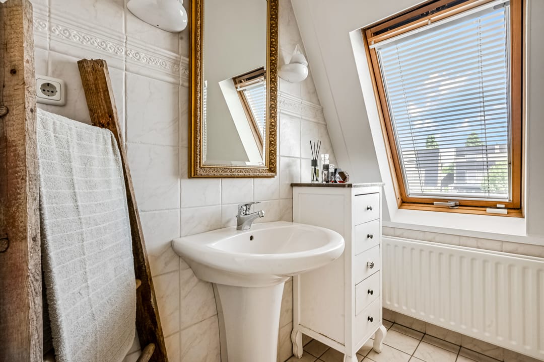 Foto 16 van Koraalzwam 15