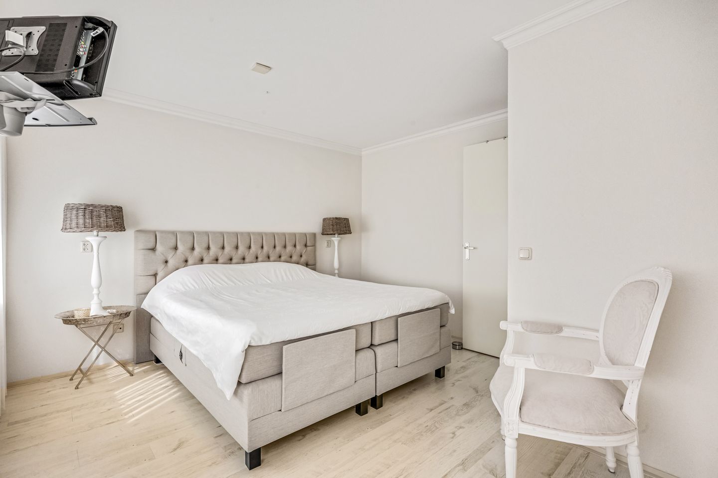 Foto 19 van Koraalzwam 15