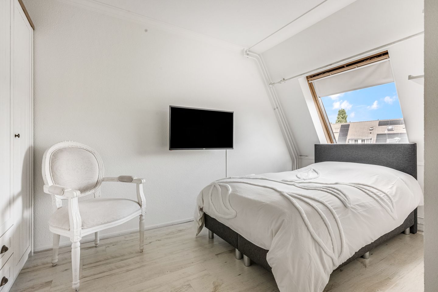 Foto 20 van Koraalzwam 15