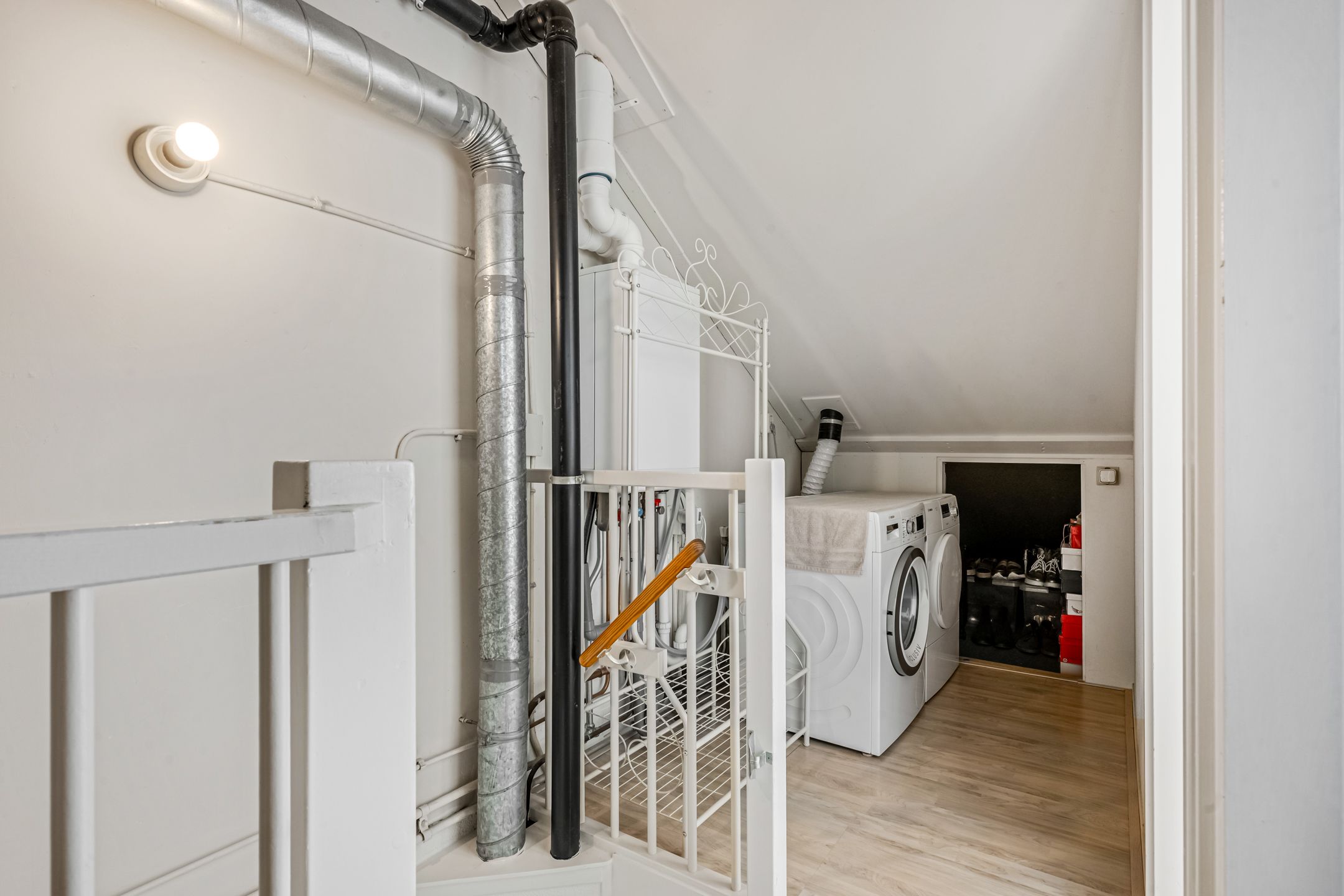 Foto 21 van Koraalzwam 15