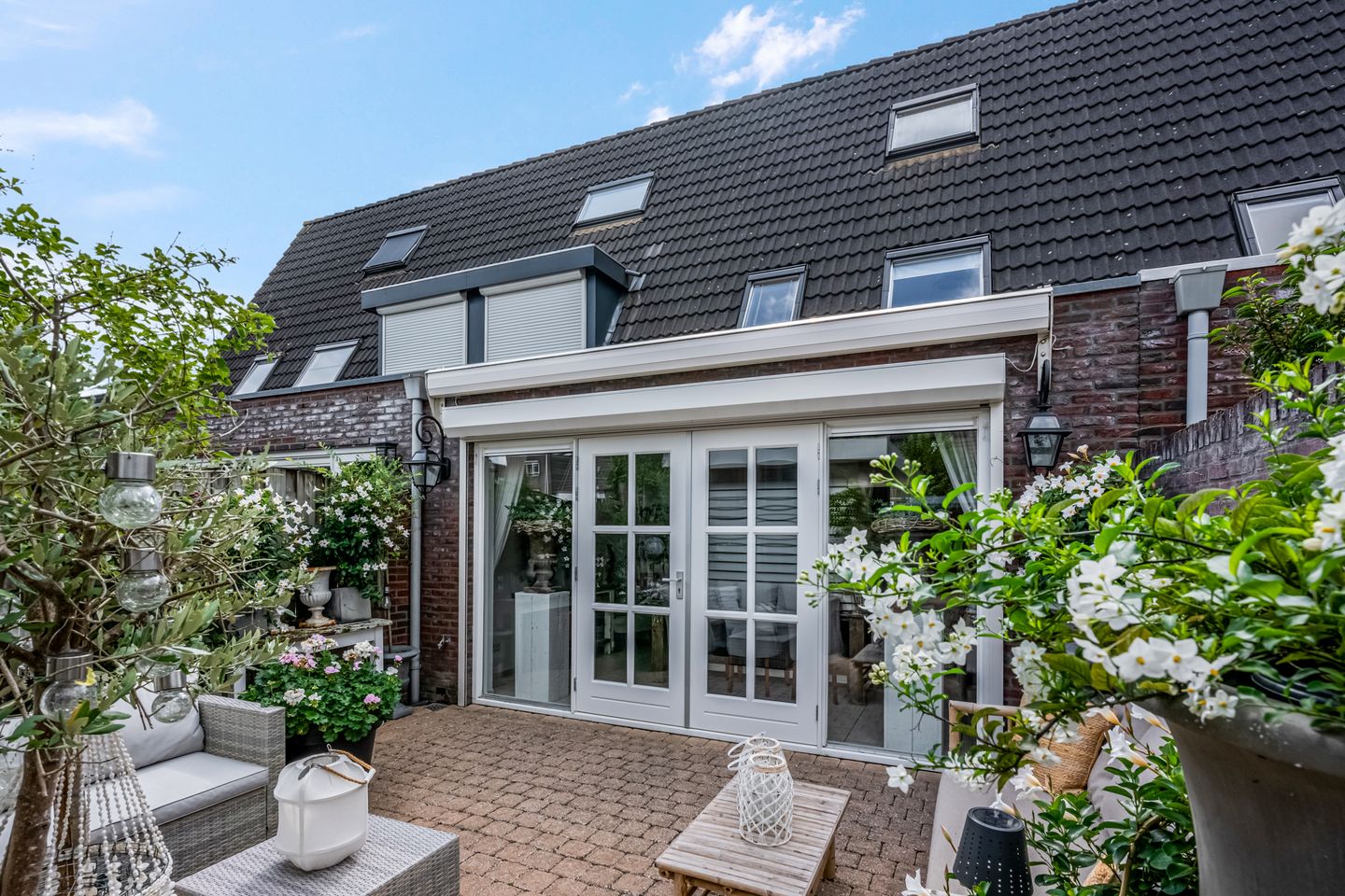 Foto 25 van Koraalzwam 15