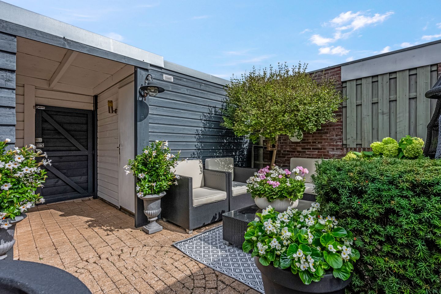 Foto 29 van Koraalzwam 15