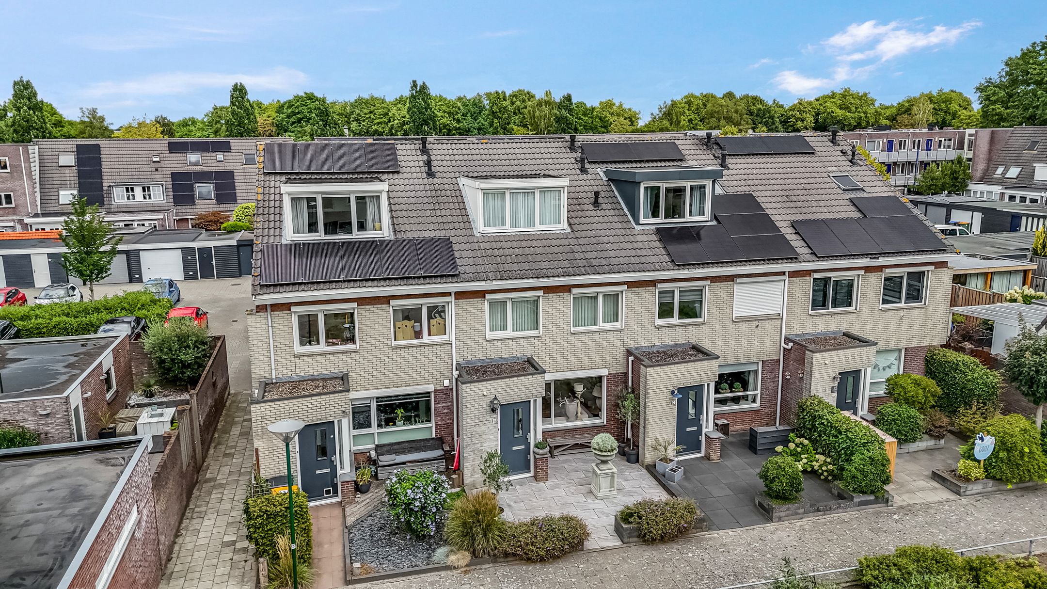 Foto 30 van Koraalzwam 15