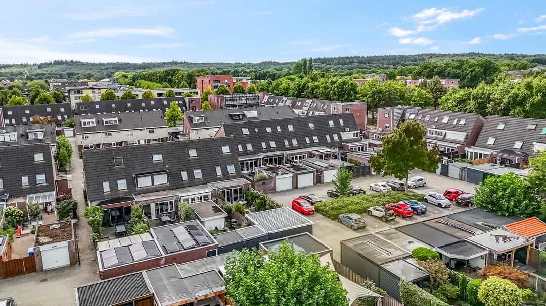 Foto 31 van Koraalzwam 15