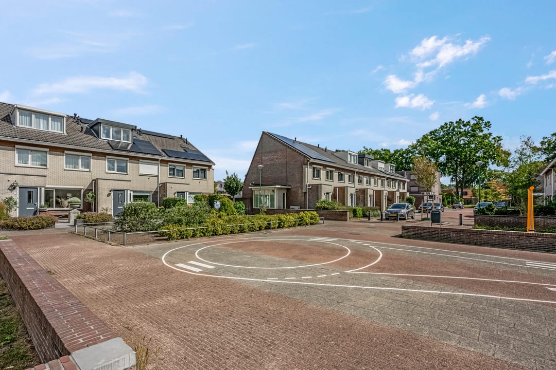 Foto 32 van Koraalzwam 15