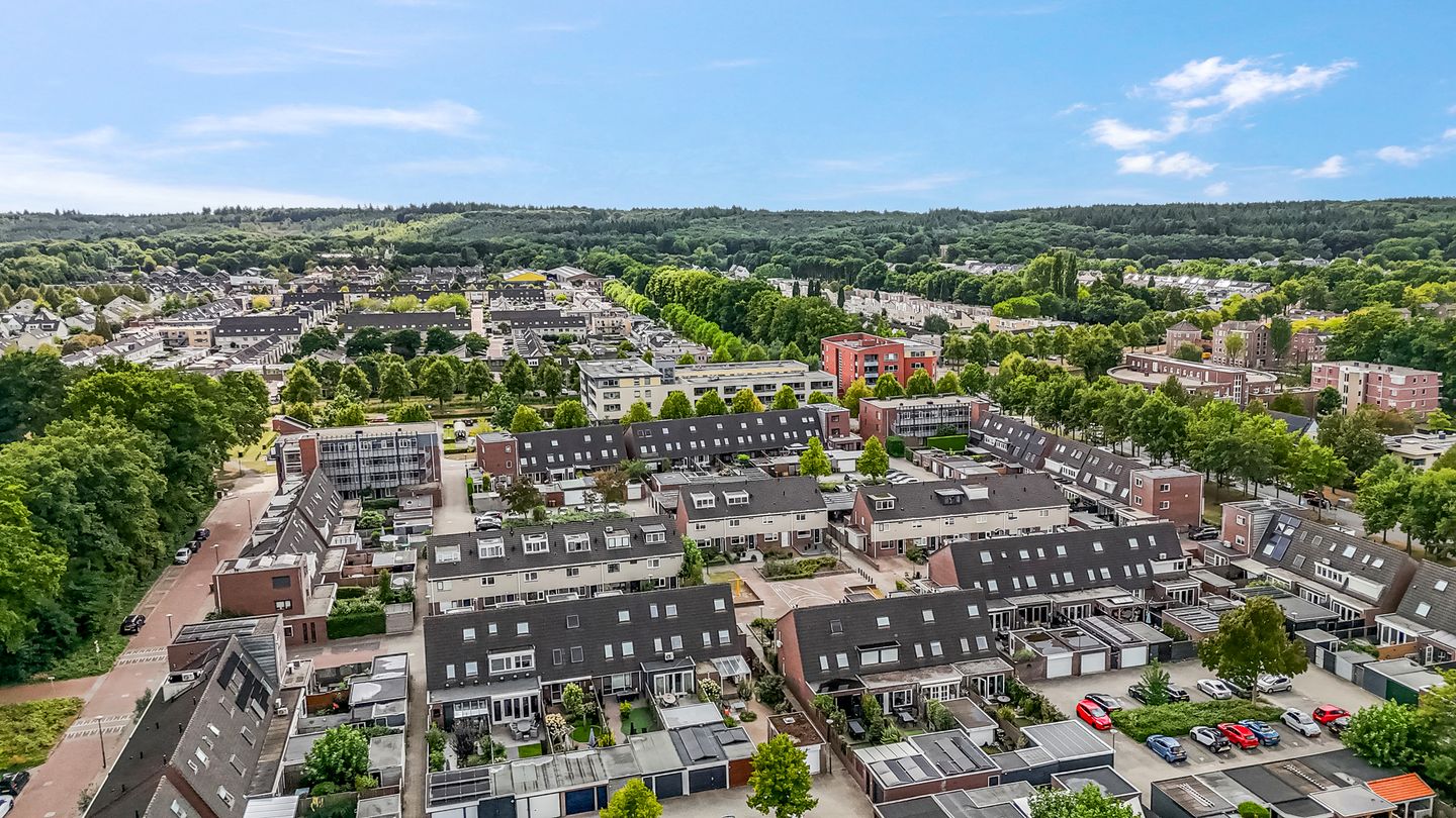 Foto 34 van Koraalzwam 15