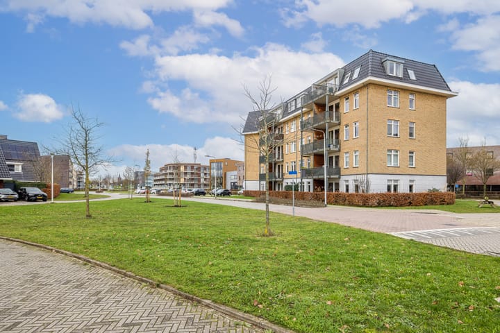 Foto 3 van Teakhout 6