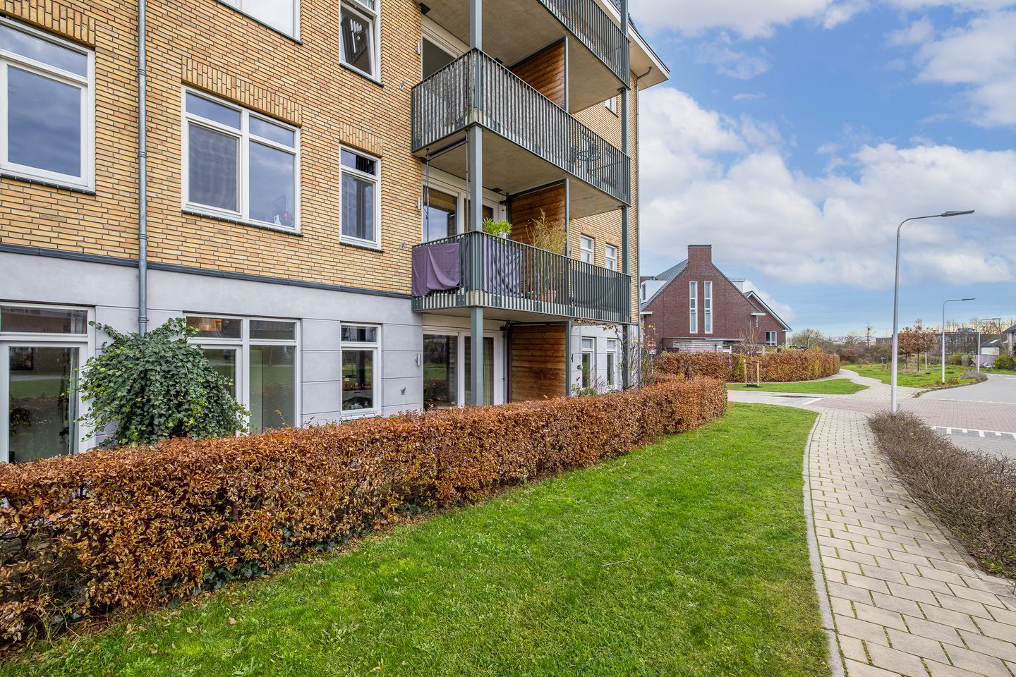 Foto 35 van Teakhout 6