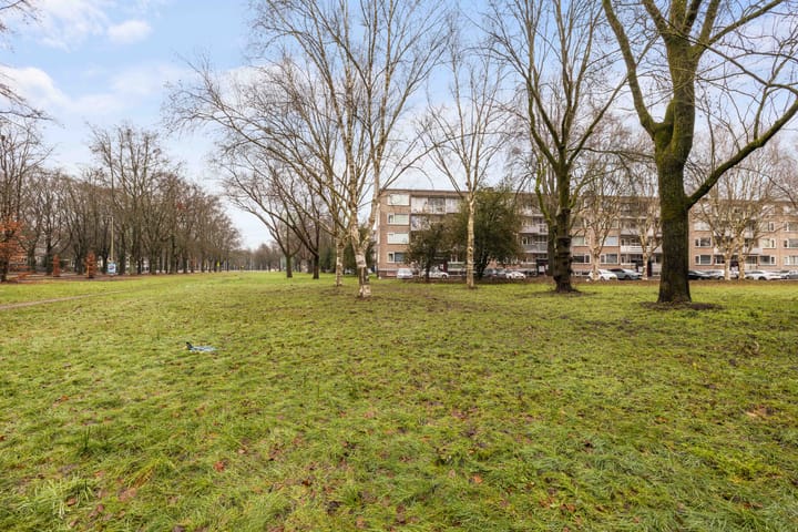 Foto 25 van Europalaan 409