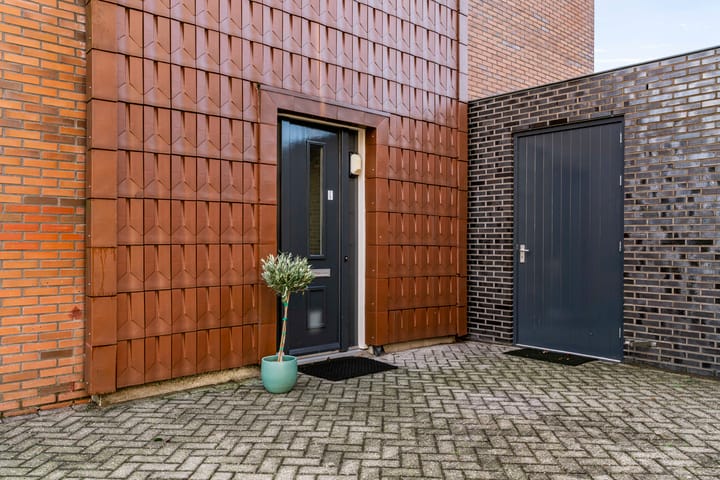 Photo 7 of Pijlstaartvlinder 22