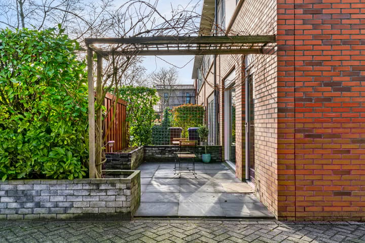 Photo 40 of Pijlstaartvlinder 22