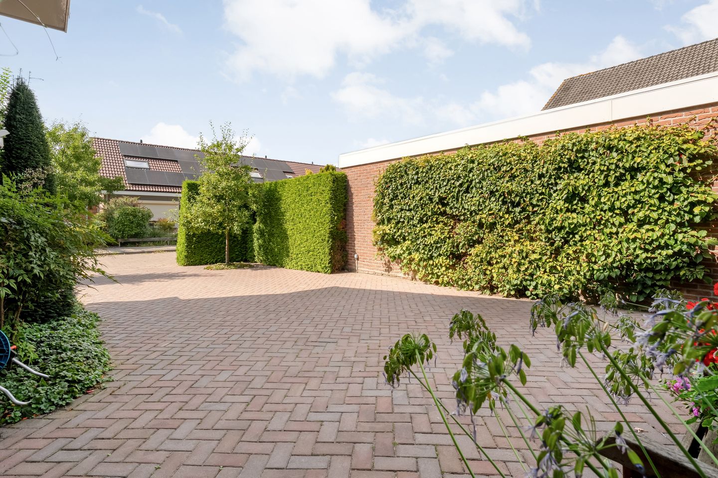 Photo 40 of Waalstraat 28