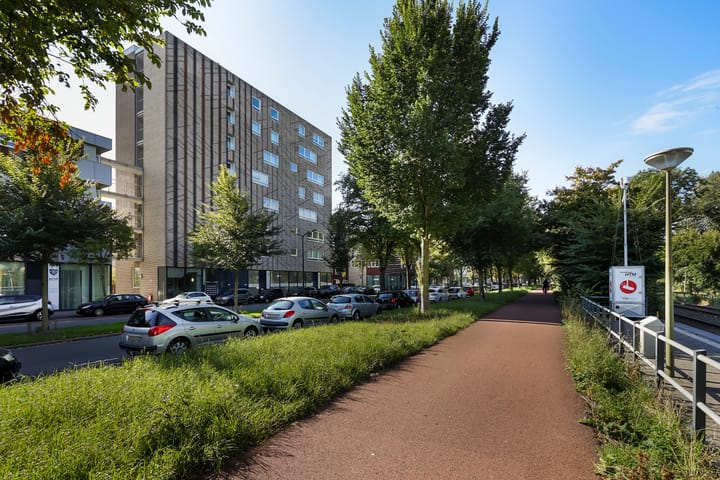 Foto 6 van Melis Stokelaan 1884