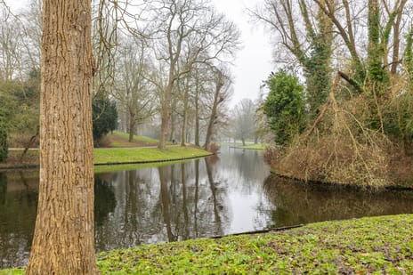 Koninginnelaan 53-c tertiary image