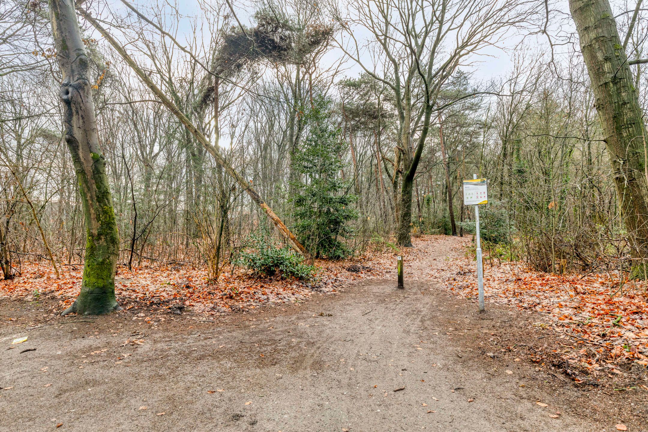 Photo 45 of Boekweitstraat 50