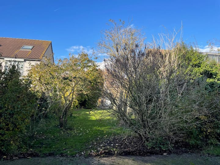 Photo 7 of Hartekruidpad 11