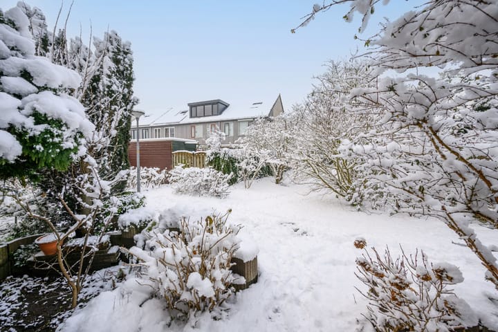 Photo 6 of Hartekruidpad 11