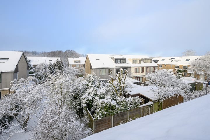 Photo 41 of Hartekruidpad 11