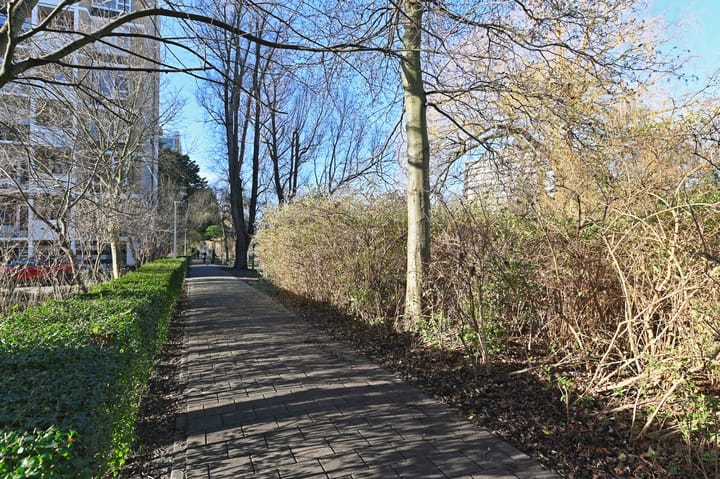 Foto 31 van Louis Davidsstraat 63