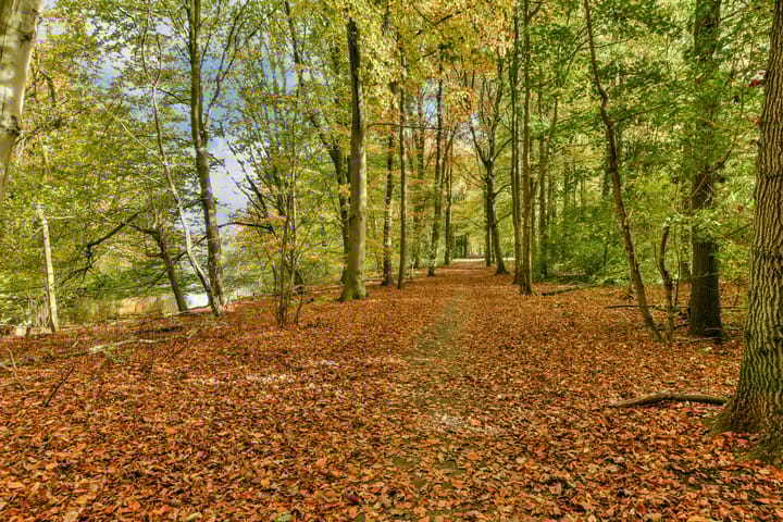 Foto 41 van Oosteinderweg 407