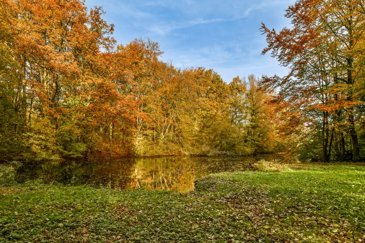 Foto 42 van Oosteinderweg 407