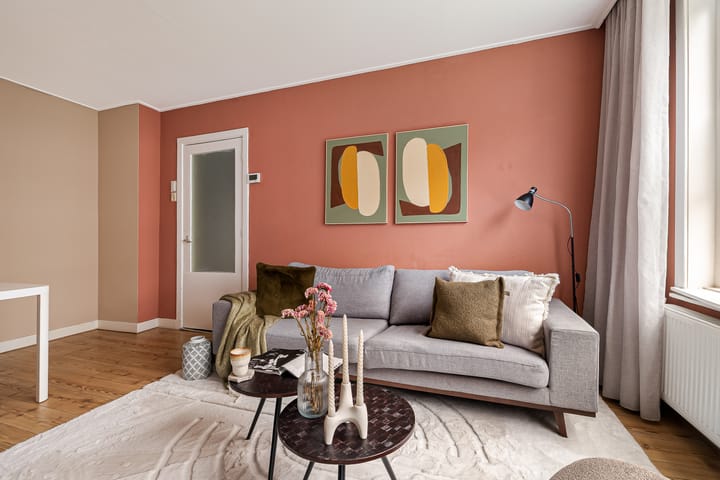 Foto 5 van Swammerdamstraat 9