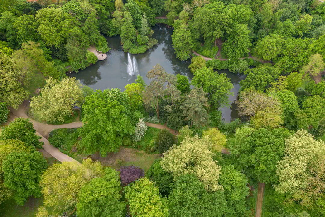 Photo 31 of Swammerdamstraat 9