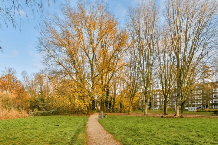 Foto 20 van Orteliusstraat 229-1