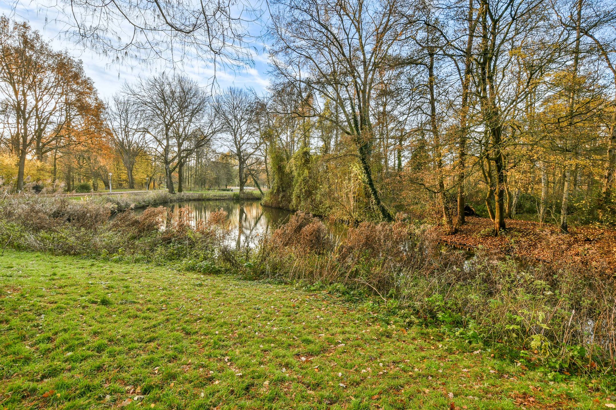 Foto 21 van Orteliusstraat 229-1