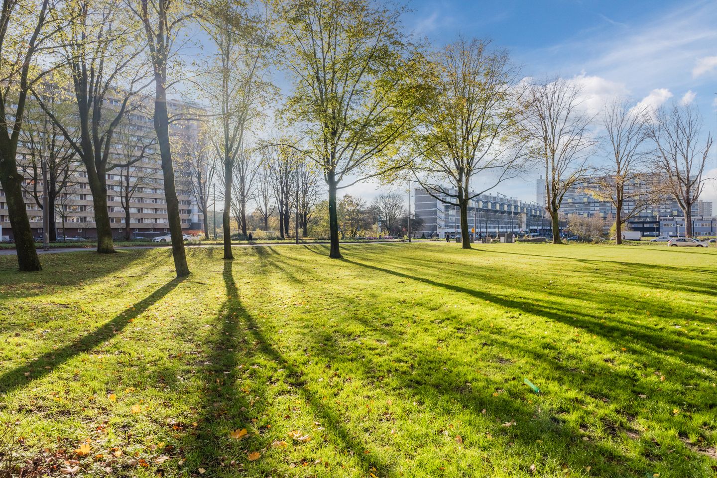 Foto 50 van Langswater 478