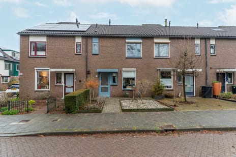 Spechtstraat thumbnail