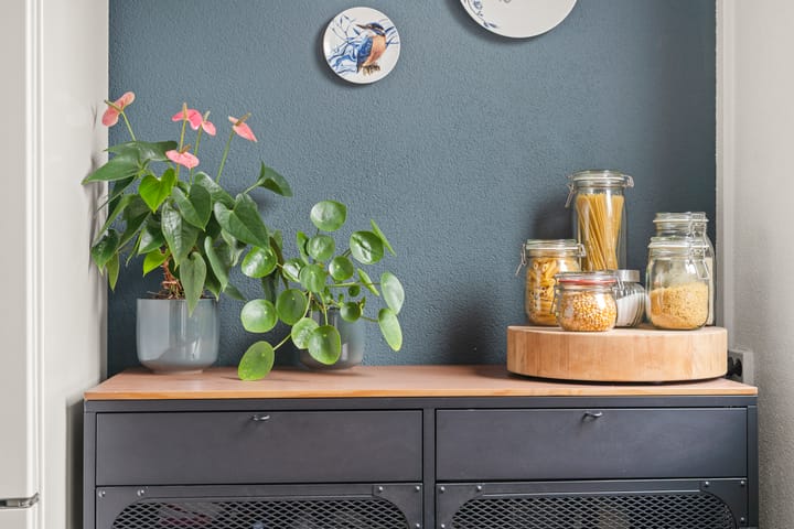 Foto 16 van Spechtstraat 36