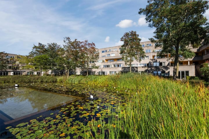 Foto 21 van Poseidonsingel 23