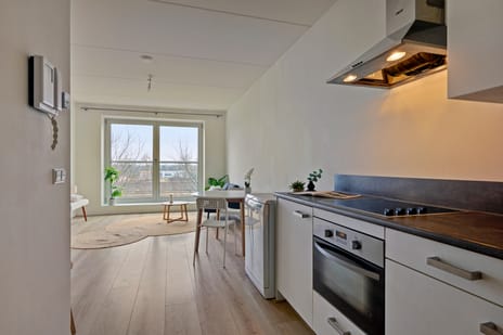 Welnastraat 221 secondary image