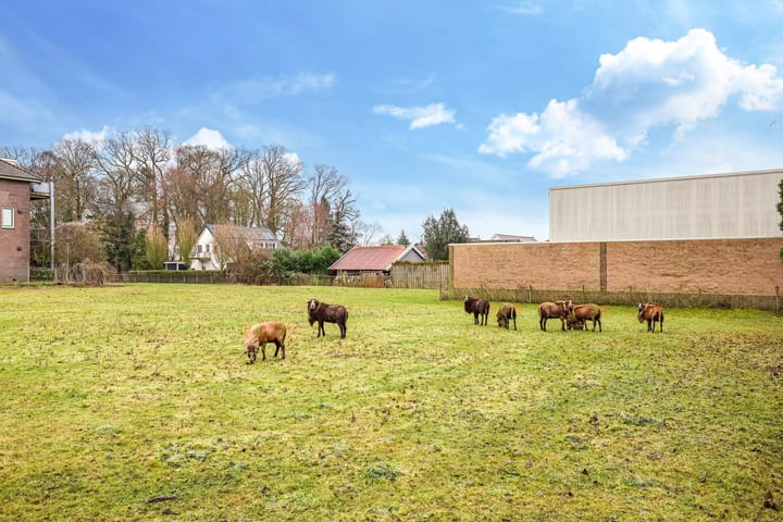 Foto 6 van Hoofdstraat 76