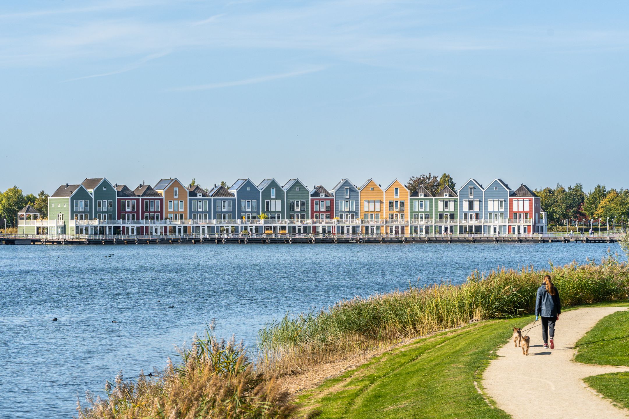 Foto 48 van Fresiatuin 12