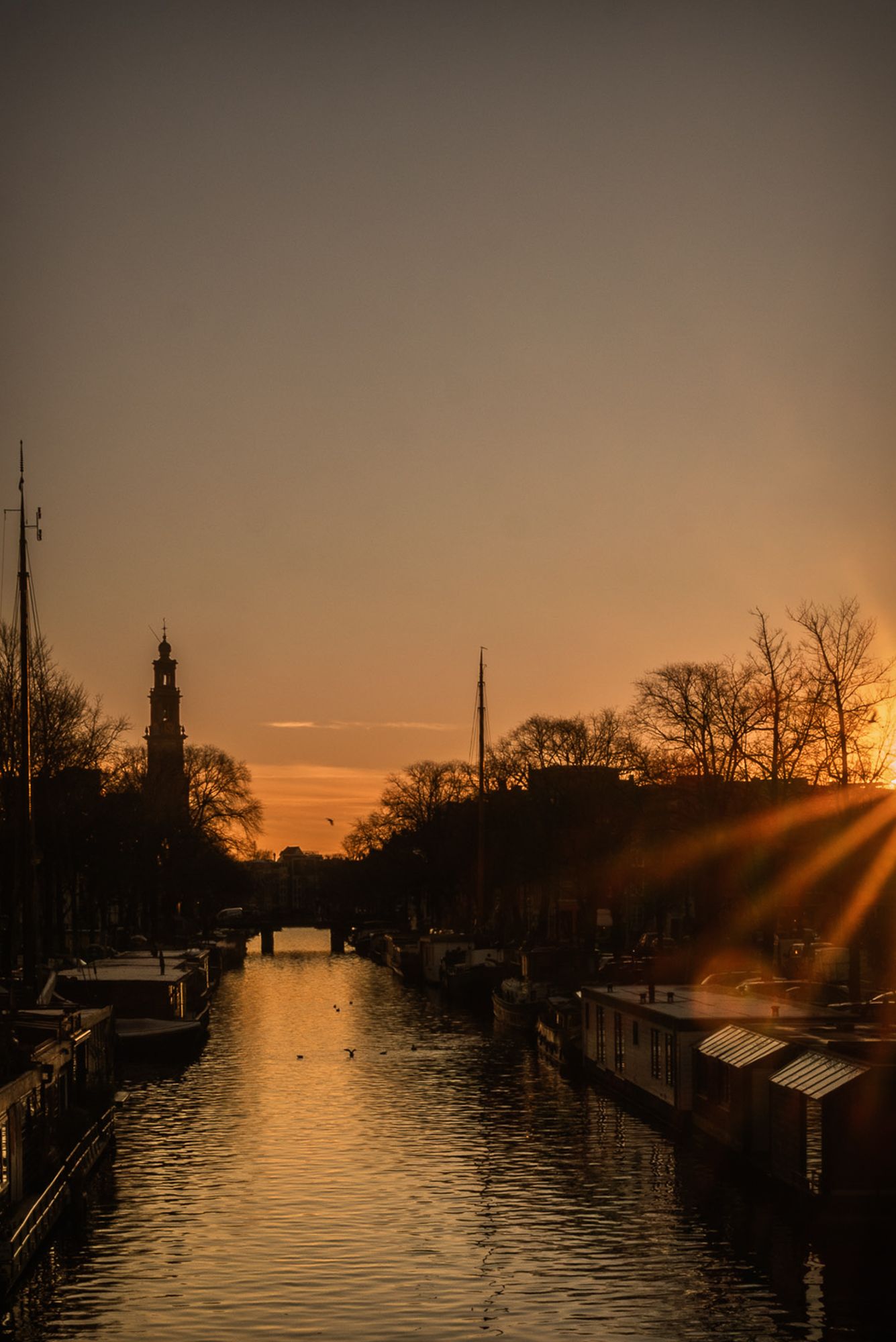 Foto 21 van Lindengracht 147-2