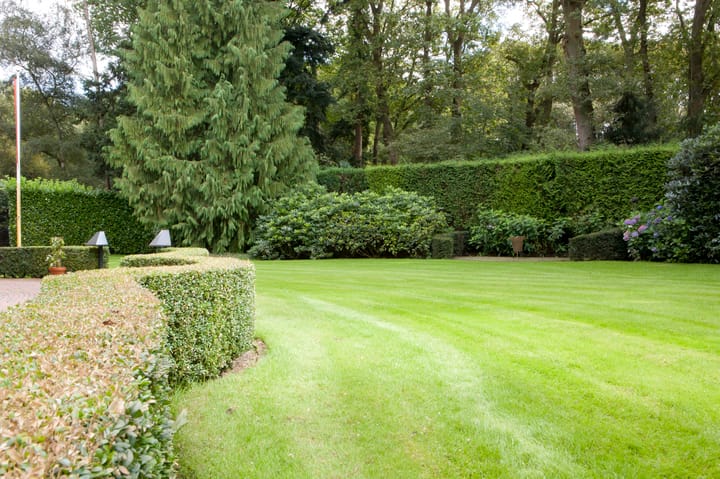 Foto 16 van Meentweg 16-A