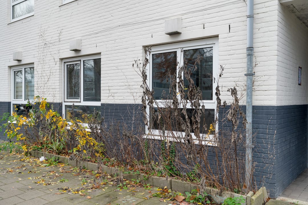 Photo 17 of Dantestraat 146