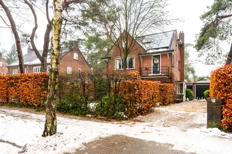 Graaf Janlaan thumbnail