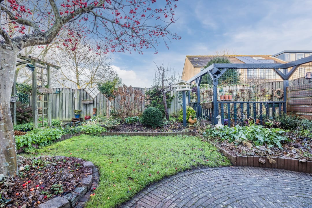 Foto 32 van Dibbetzplantsoen 50