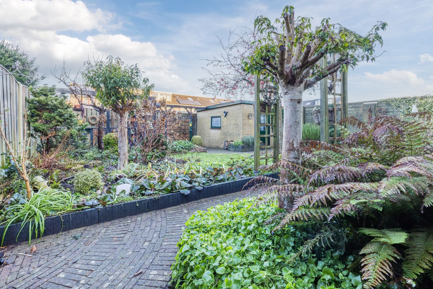 Foto 29 van Dibbetzplantsoen 50