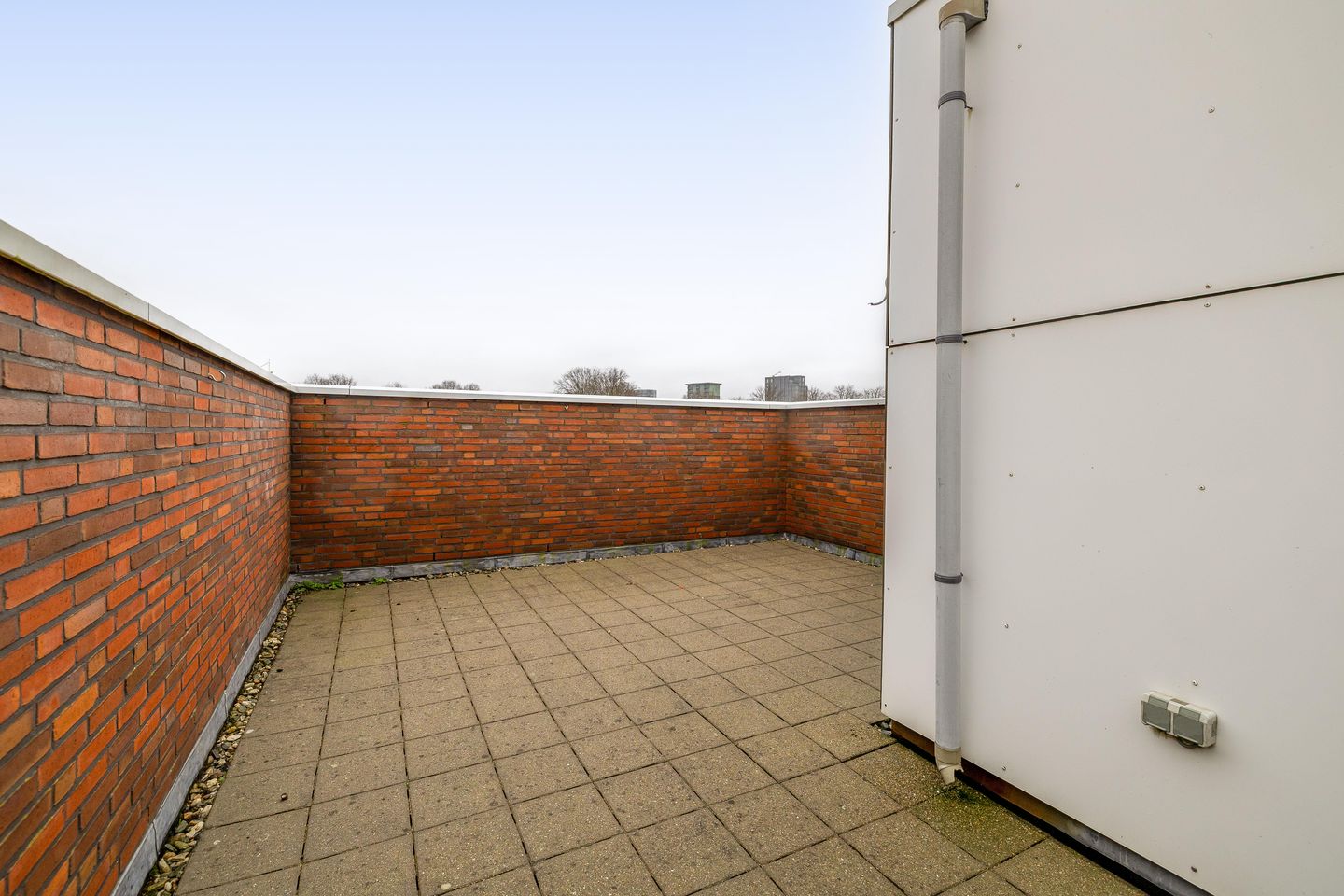 Photo 29 of Emanzana 3