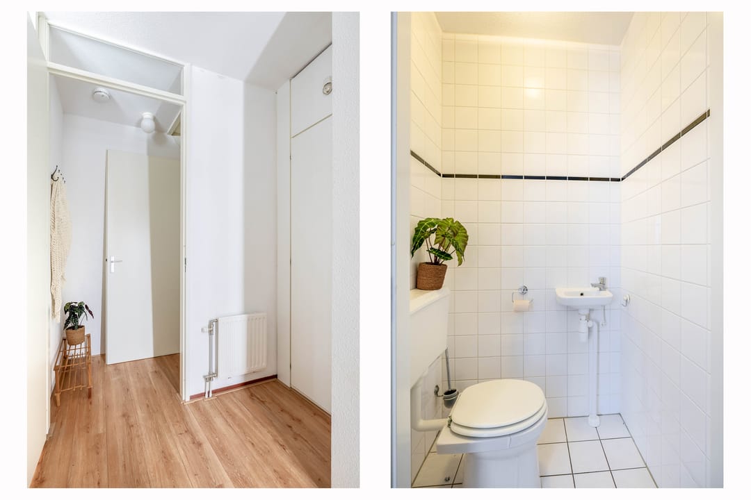 Photo 11 of Emanzana 3