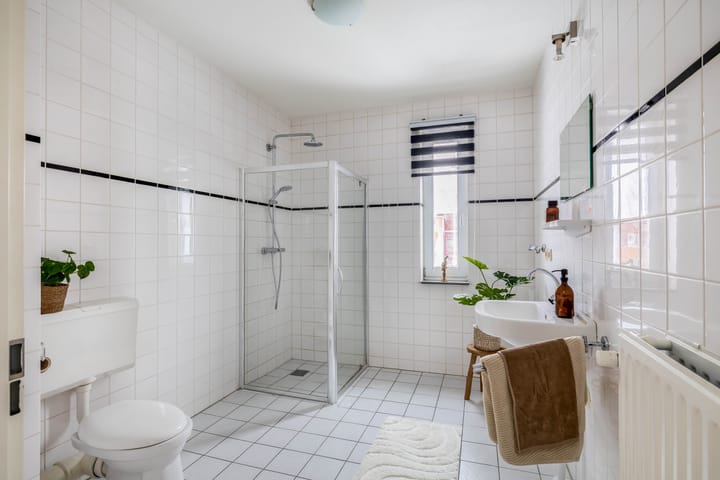 Foto 24 van Emanzana 3