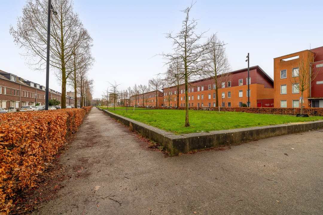 Photo 38 of Emanzana 3